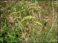 DSCF3821.JPG