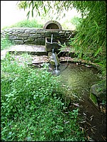 DSCF3858.JPG