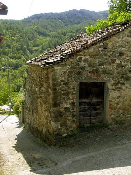 castagnola di casola (21).jpg