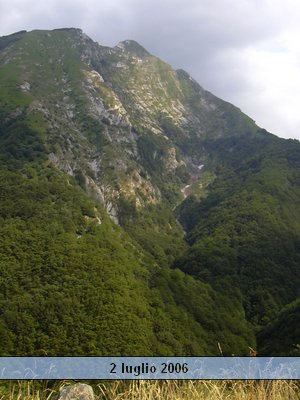 valserenaia (12).jpg