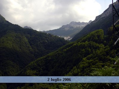valserenaia (13).jpg