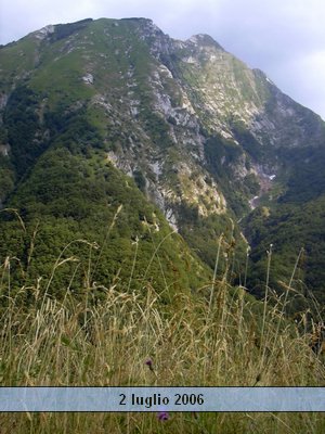 valserenaia (14).jpg
