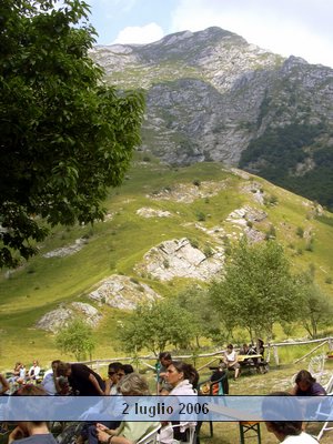 valserenaia (6).jpg