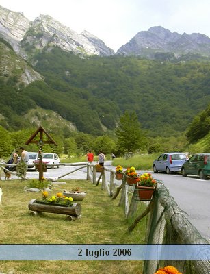 valserenaia (7).jpg