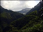 valserenaia (13).jpg