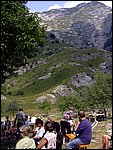 valserenaia (2).jpg