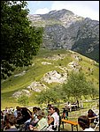valserenaia (6).jpg