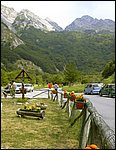 valserenaia (7).jpg