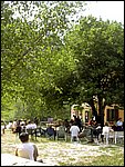 valserenaia (8).jpg