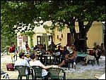 valserenaia.jpg