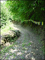 regnano_2008 010.jpg