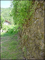 regnano_2008 031.jpg