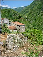 regnano_2008 040.jpg