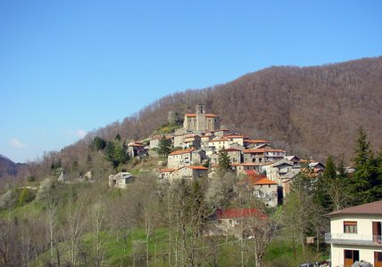 roggio1 (10).jpg