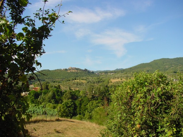 bonosolo_argigliano 025.jpg