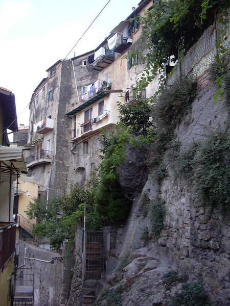 DSCN5049.JPG
